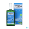 WELEDA DEOD 24H SAUGE SPR 100ML