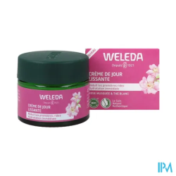WELEDA ROSE THE BLC CR JOUR 40ML