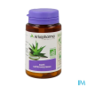 ARKOG ALOE VERA BIO GELUL 30