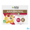 ARKOROYAL DYNERGIE BIO AMP10ML20