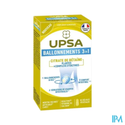 UPSA BALLONNEMENTS 3EN1 GELULE 40