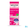 WELEDA DEOD 24H ROSE BIO SPR100ML2
