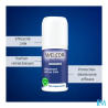 WELEDA HOM DEOD 24H ROLLON 50MLX2