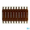 Arkofl radis noir bio amp 20 x10ml - La Grande Pharmacie