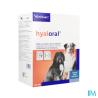 HYALORAL CHIEN COMP 120
