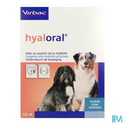 HYALORAL CHIEN COMP 120