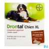 DRONTAL XL CPR CHIEN 2