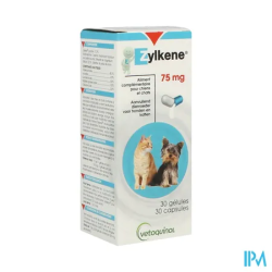 ZYLKENE GELUL 75MG 30
