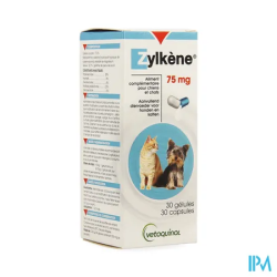 ZYLKENE GELUL 75MG 30