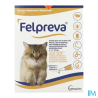 FELPREVA SPOT-ON CHAT MOY 0,74MLX2