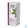 INTRAIT MARRON INDE H VEINE 90ML