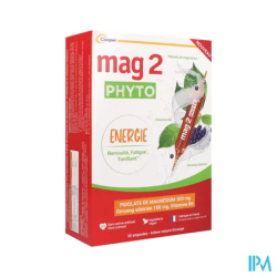 MAG 2 PHYTO ENERGIE AMP 30