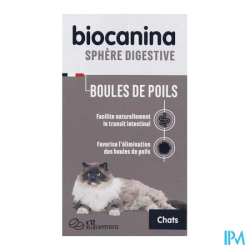 BIOCANINA BOUL POIL CHAT JELLIE 12