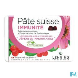 PATE SUISSE LEHNING DEF IMM GOM 40