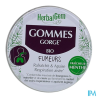 Herbalgem gom gorge fumeur bio45g - La Grande Pharmacie