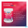 ALVITYL CHONDROFLEX COLLAGENE 210G