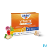 ALVITYL VITALITE JOUR NUIT CP20+20