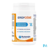 ERGYCEBE GELUL 90