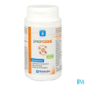 ERGYCEBE GELUL 90