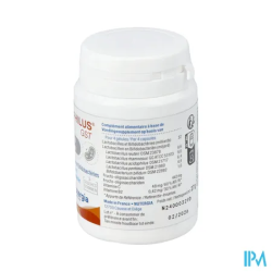 ERGYPHILUS GST GELUL 60