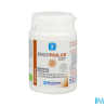 ERGYPHILUS GST GELUL 60