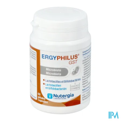 ERGYPHILUS GST GELUL 60