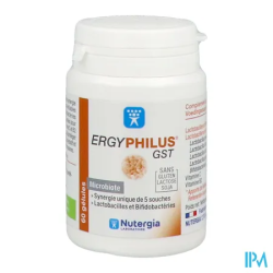 ERGYPHILUS GST GELUL 60