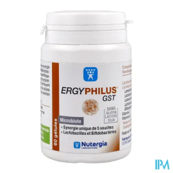 ERGYPHILUS GST GELUL 60