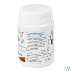 ERGYPHILUS GST GELUL 60