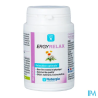 ERGYRELAX GELULE 60