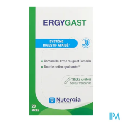 ERGYGAST STICK BUVABLE X 20
