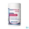 ERGYPHILUS INTIMA CONF INT GELUL60