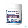 ERGYPHILUS ATB GELULE 30