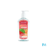ASSANIS A/BAC POCK MELON/PAST250ML