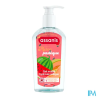 ASSANIS A/BAC POCK MELON/PAST250ML