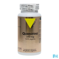 VIT ALL+ HLE QUECETINE GELUL 60