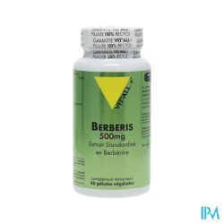 VIT ALL+ BERBERIS 500MG GELUL 60