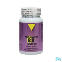 VIT ALL+ VIT B8 1000 MCG GELUL 60
