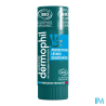 DERMOPHIL PHYT STIC PRO LEV BIO 4G