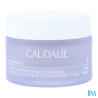 Caudalie vinoperf cr nuit glyc50ml - La Grande Pharmacie