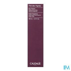 Caudalie eau fraiche the vign100ml - La Grande Pharmacie