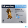 FIPRODOG 67MG SPOTON PT/CHIEN PIP3