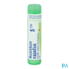 Aconitum napel 5ch tg b - La Grande Pharmacie