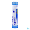 Aconitum napel 9ch tg b - La Grande Pharmacie
