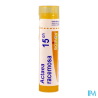 Actaea racemosa 15ch tg b - La Grande Pharmacie