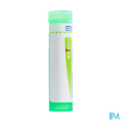 Aesculus hip 5ch tg b - La Grande Pharmacie