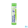 Agaricus muscar 5ch tg b - La Grande Pharmacie