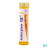 Ambra grisea 15ch tg b - La Grande Pharmacie