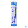 Amylium nitrosum 9ch tg b - La Grande Pharmacie
