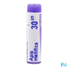 Apis mellifica 30ch do gl b - La Grande Pharmacie